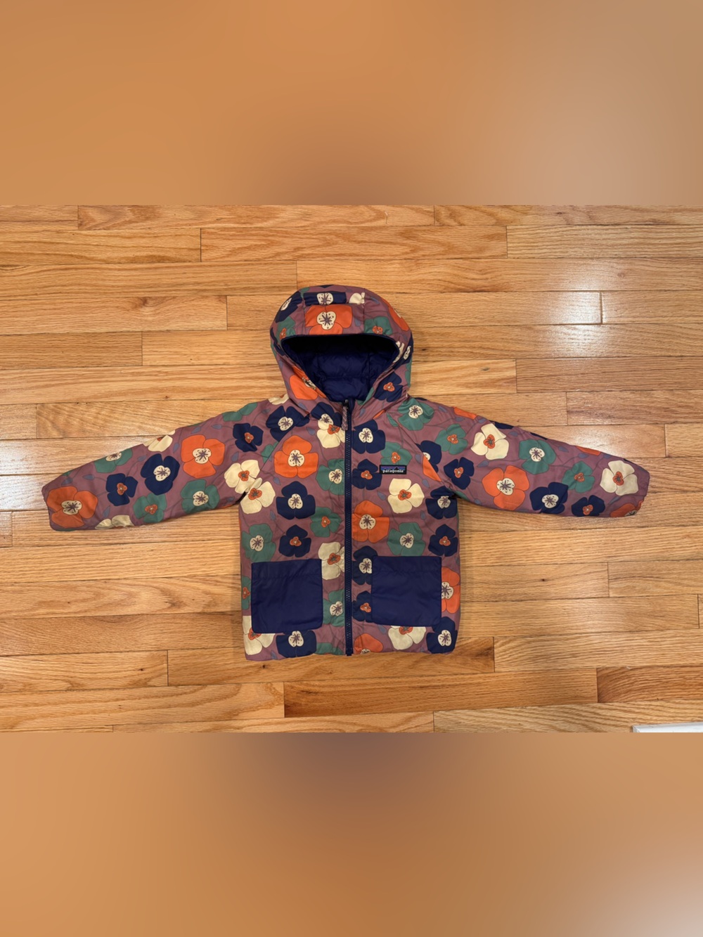 NEW Patagonia Kids Reversible Down Sweater Hoody 3T